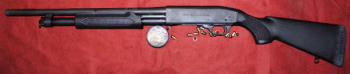 <span class=notranslate> Niedermeier GmbH </span> - Salutflinte Pumpgun